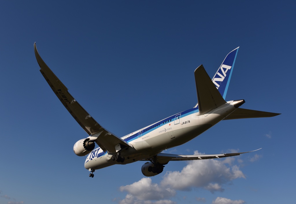 787