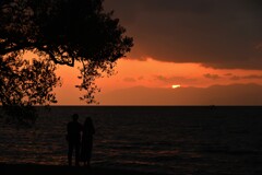 秋の早い夕暮れ