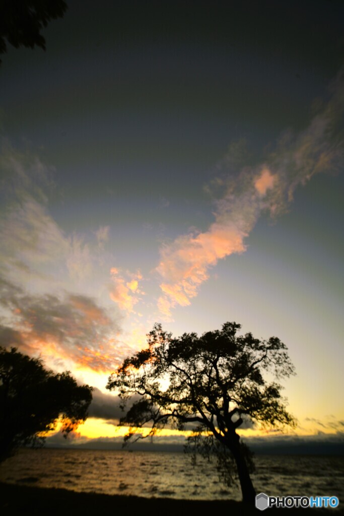 翔雲