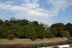彦根城２