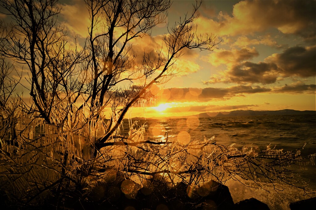 飛沫氷の夕陽