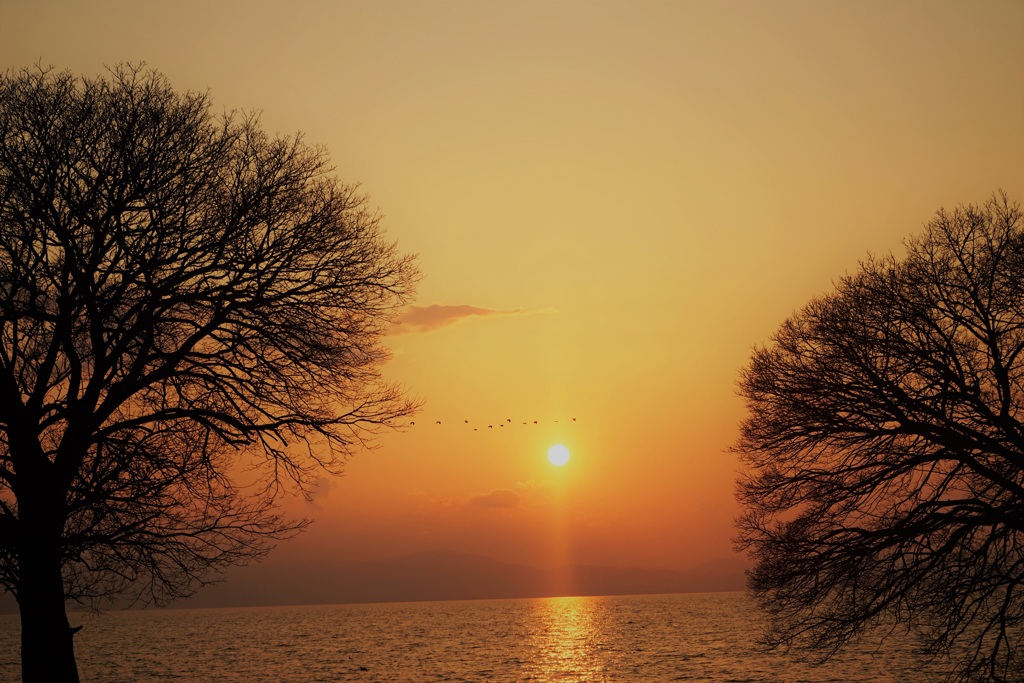 春霞が魅せる夕景