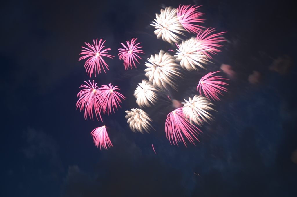 大垣花火１