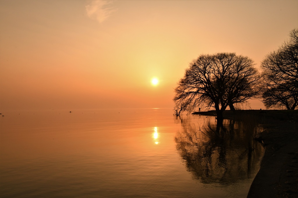 春霞に沈む夕陽