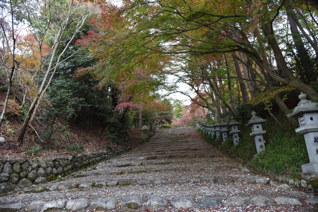 胡ノ宮神社3