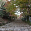 胡ノ宮神社3