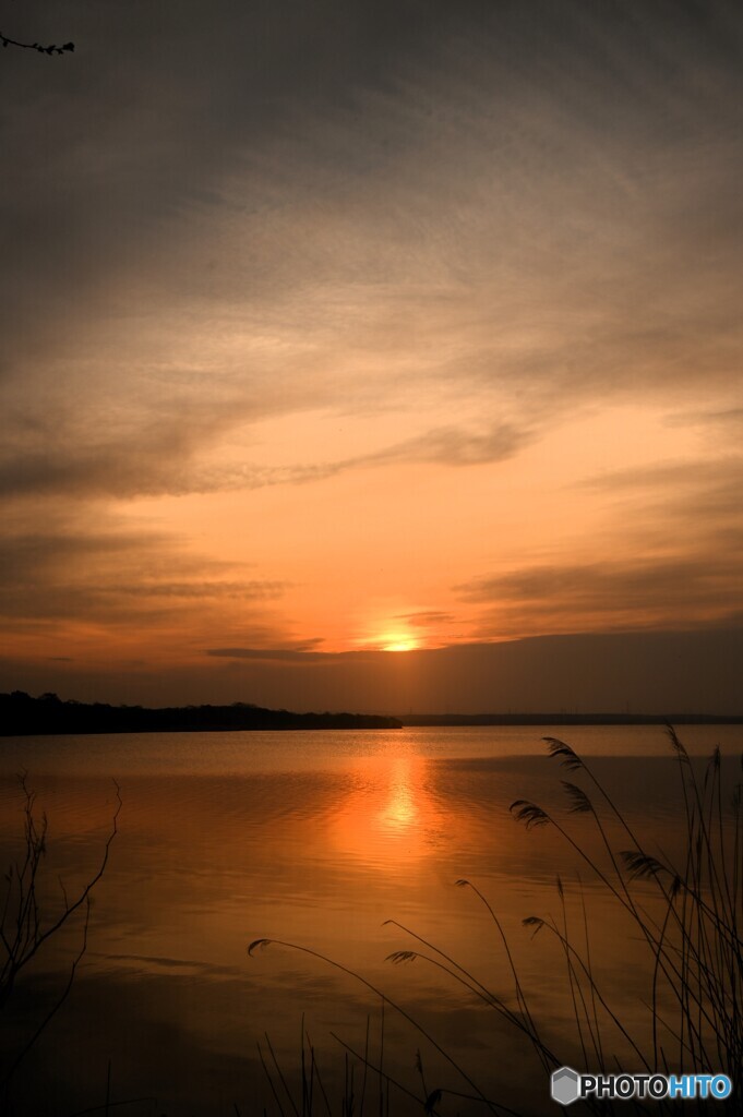 ウトナイ湖の朝陽