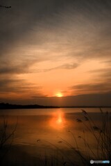 ウトナイ湖の朝陽