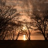 夕景シルエット