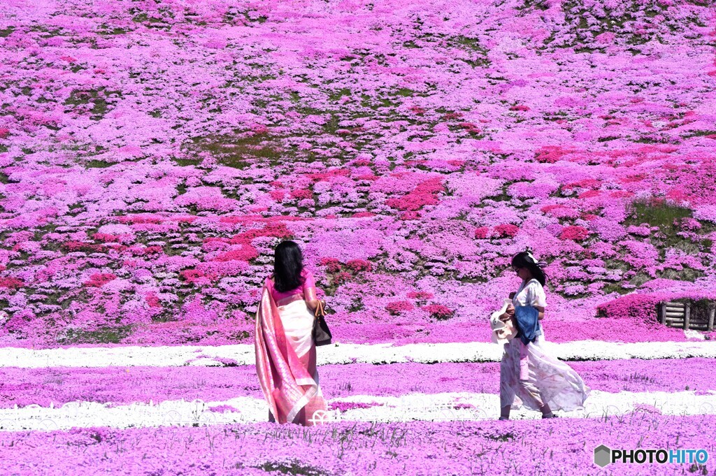 異国の風