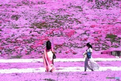 異国の風