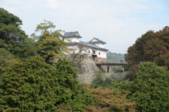 彦根城