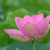 お年頃