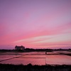 田面に映える夕焼け
