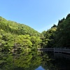 新緑の水鏡