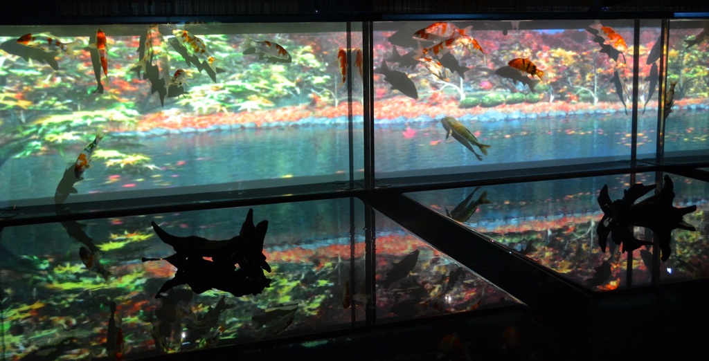 ｱｰﾄｱｸｱﾘｳﾑ２