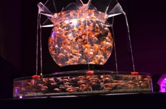 ｱｰﾄｱｸｱﾘｳﾑ１１