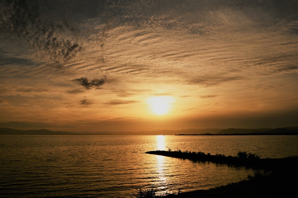 黄金色の夕陽