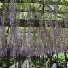 天王川公園２
