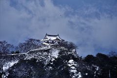 彦根城雪景色
