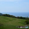 のどかな風景