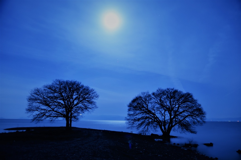 月夜に浮かぶ