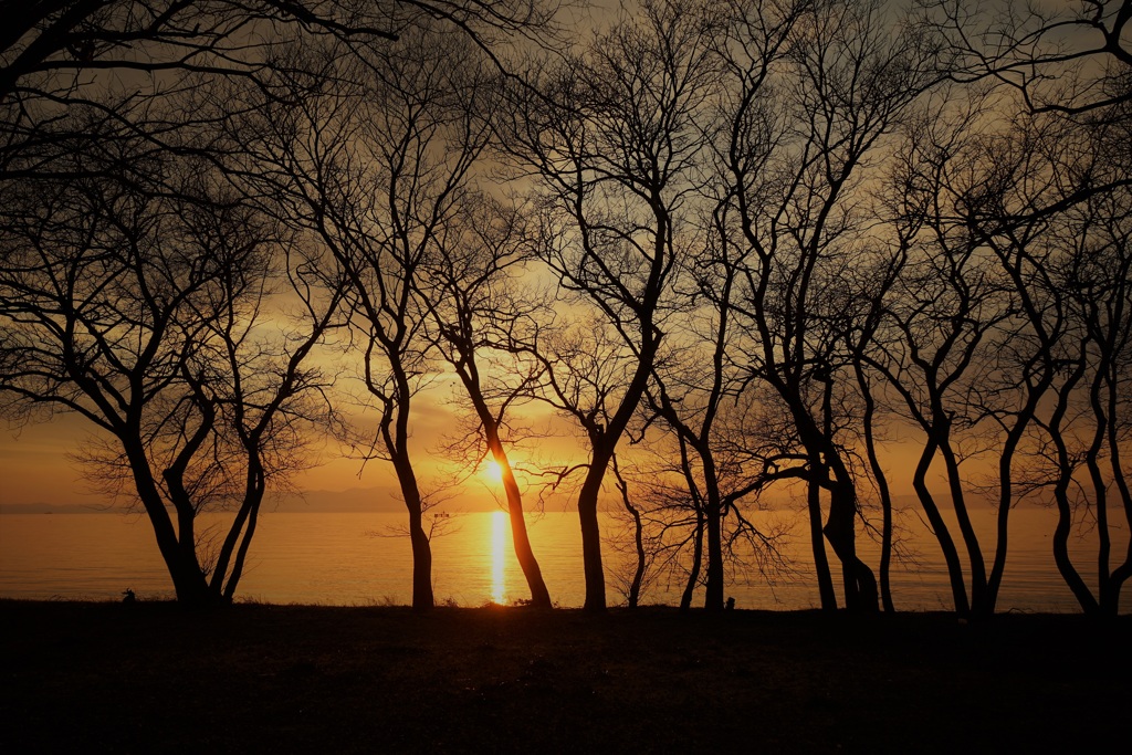 弥生長浜夕景