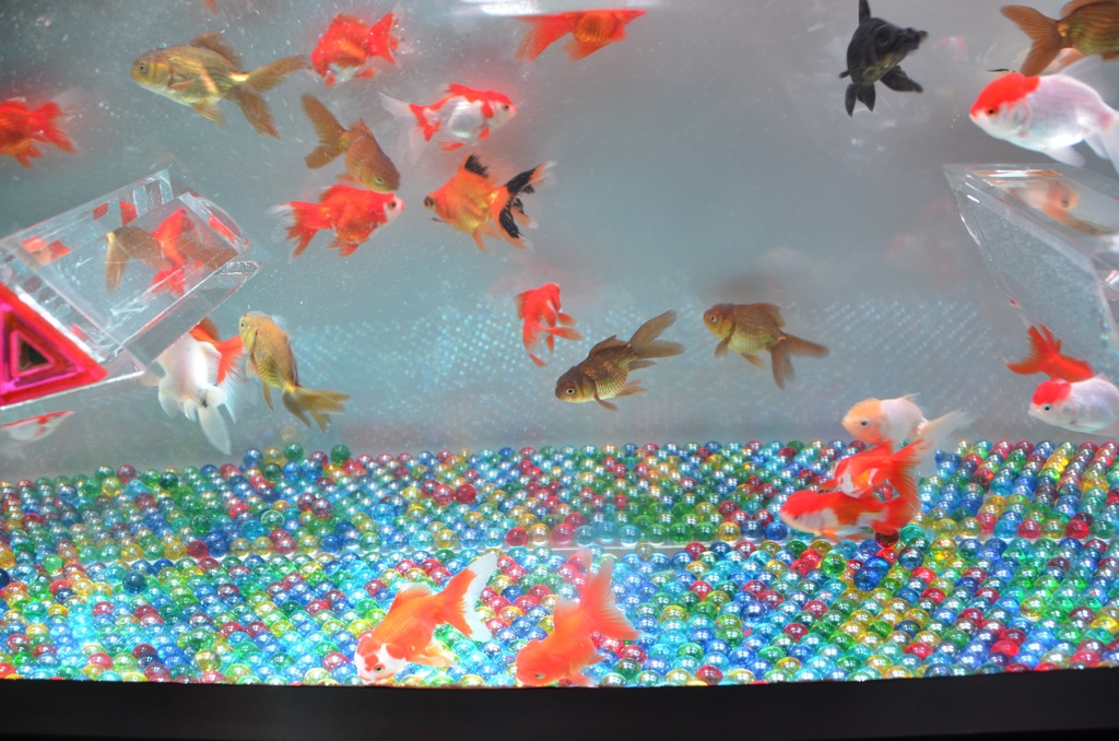 ｱｰﾄｱｸｱﾘｳﾑ１０