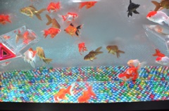 ｱｰﾄｱｸｱﾘｳﾑ１０