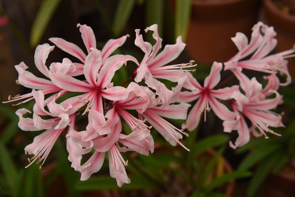 ねえねえ聞いて！