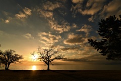 雲を呼ぶ夕景