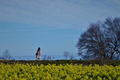 旅の青空