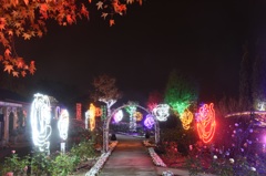 ｲﾝｸﾞﾘｯｼｭｶﾞｰﾃﾞﾝ6