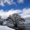 柳川　水中木雪景