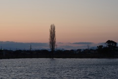 弥生野田沼夕景3