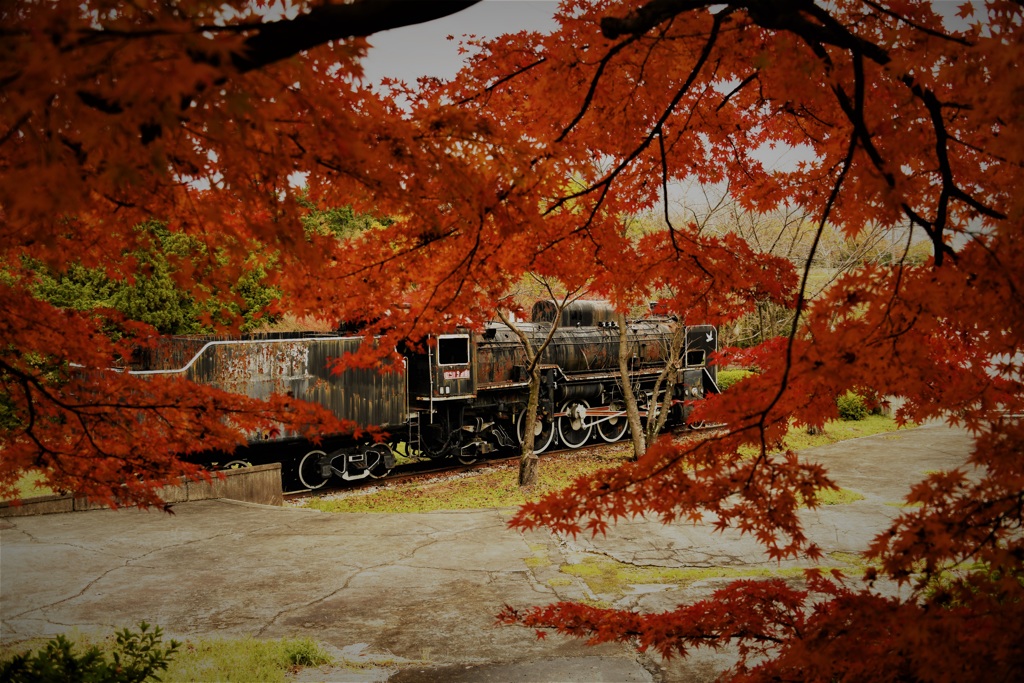 錆びたSLと紅葉