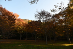 秋景色