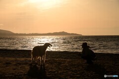 おいで・・・・