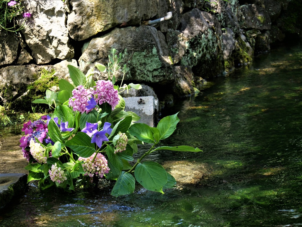 清流の生け花