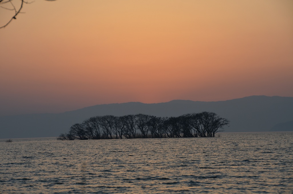 弥生夕景３