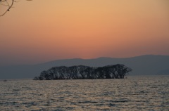 弥生夕景３