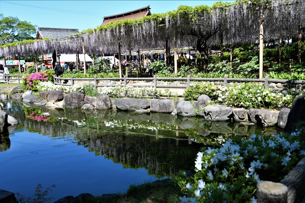 五月の水鏡