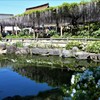 五月の水鏡