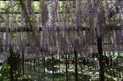 天王川公園３