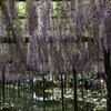 天王川公園３