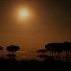 パラレルワールドの月景