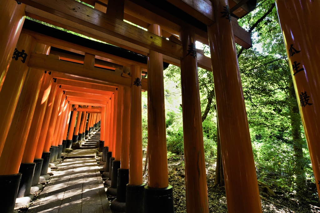 続く坂道