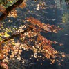 流れる光に身をまかせて