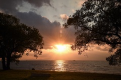 のぞいた夕陽