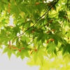 明日への力